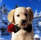 Аватара пользователя