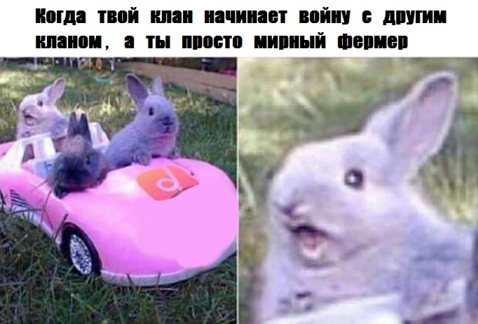 Работа №22.1