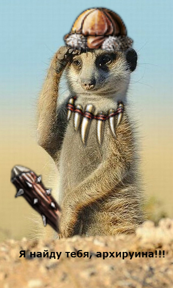 29.1.jpg